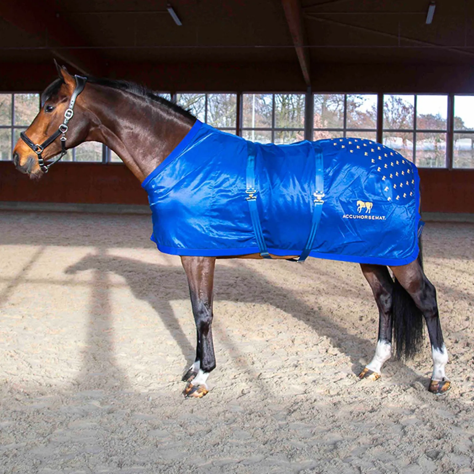 Accuhorsemat Original