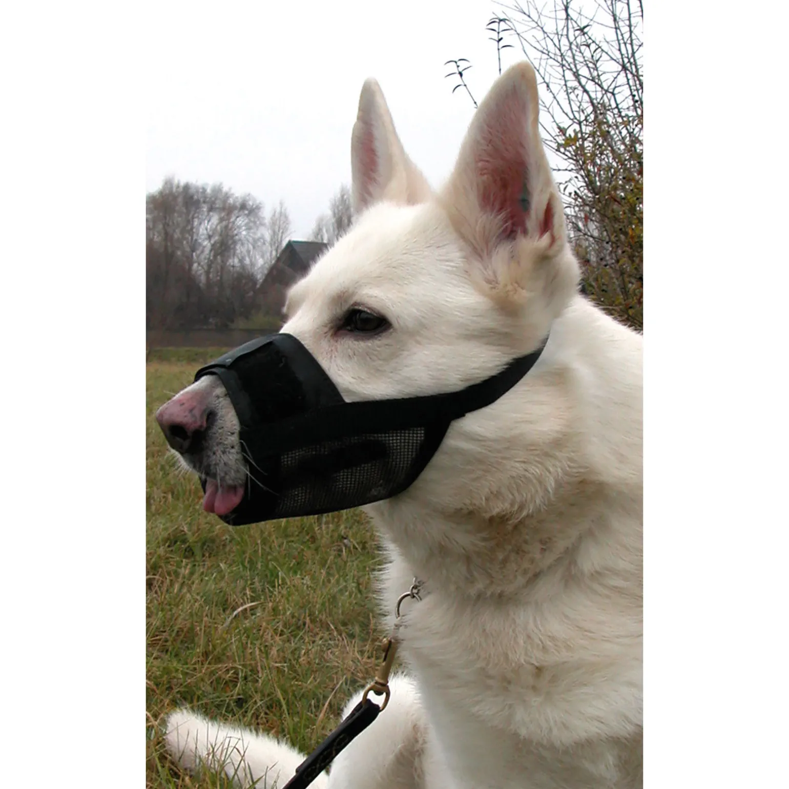 Dogman munnkurv, nylon