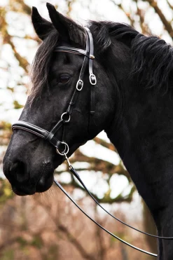 F.R.A. Freedom Riding Articles Pardoes de Luxe Sidepull med tøyler (system 3)