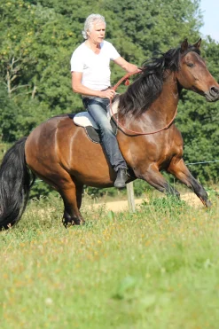 F.R.A. Freedom Riding Articles Free barbakpad, full