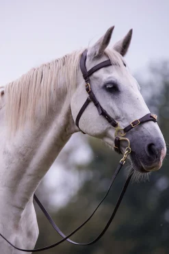 F.R.A. Freedom Riding Articles Imperial hodelag Hackamore med tøyler (system 2) shire