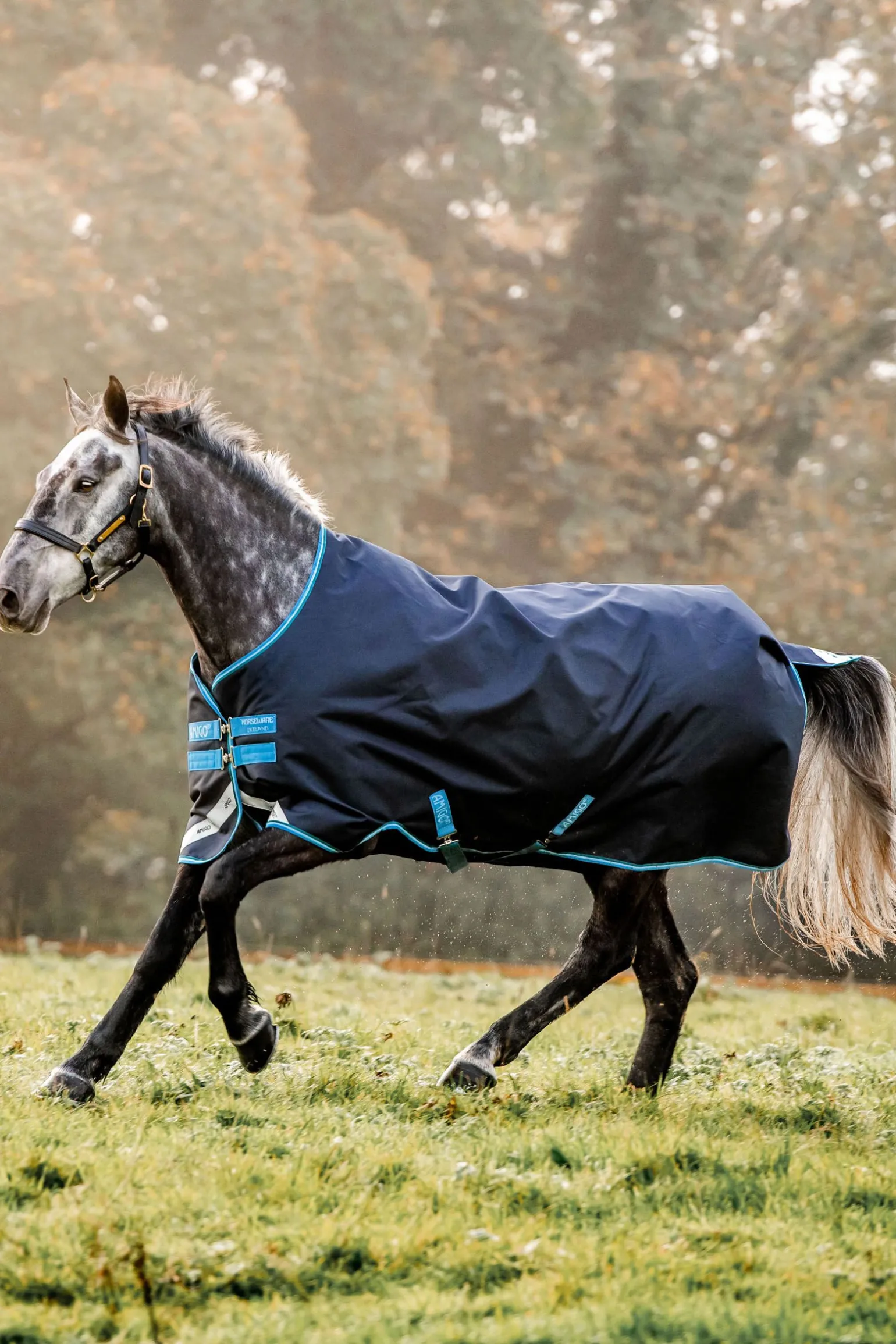 Horseware Amigo Bravo utedekken, 50 g
