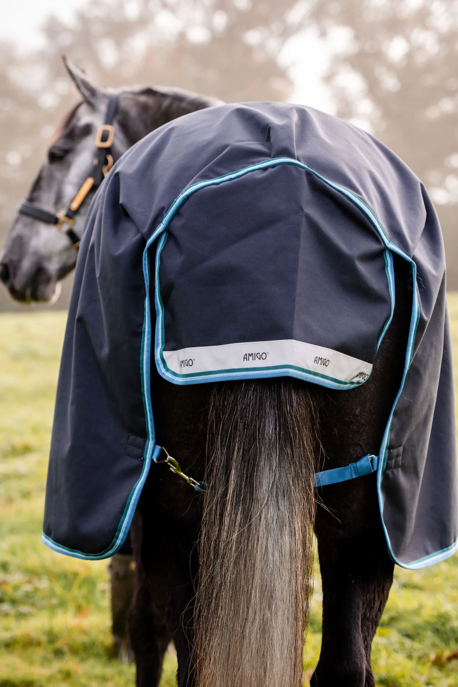 Horseware Amigo Bravo utedekken, 50 g