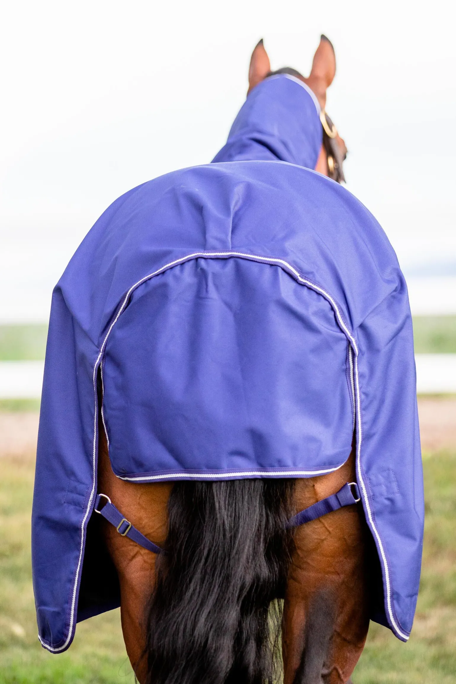 Horseware Amigo Hero 900 Plus Medium utedekken, 200g