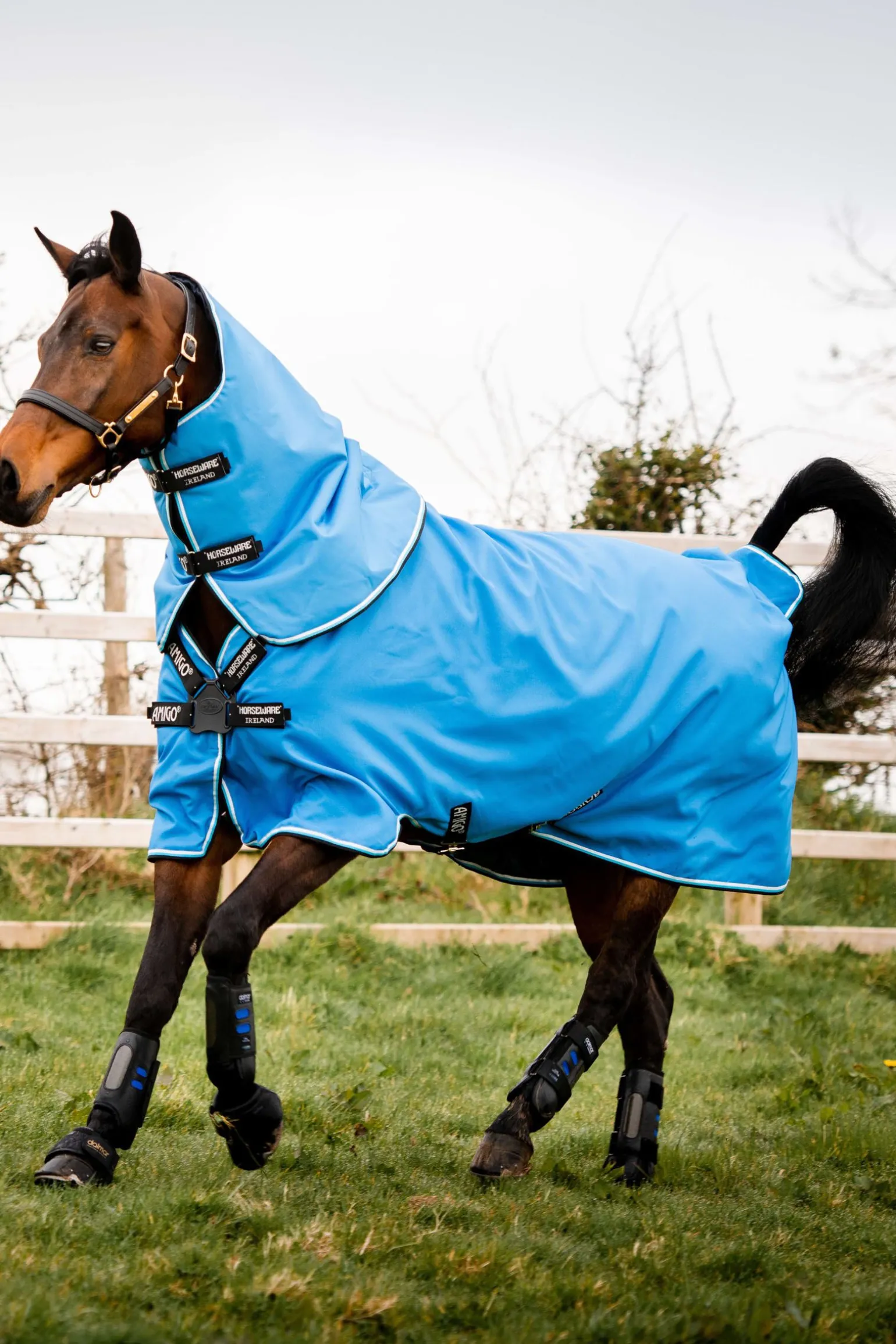 Horseware Amigo Hero 900 Plus utedekken med avtakbar hals, 200 gram