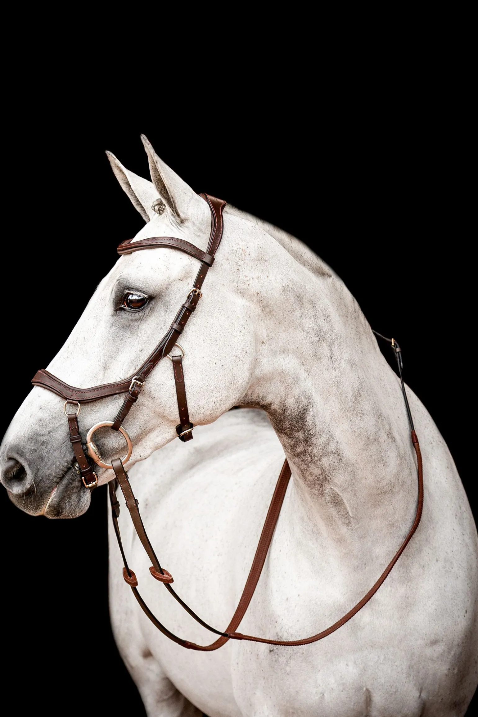Horseware Micklem 2 Competition hodelag