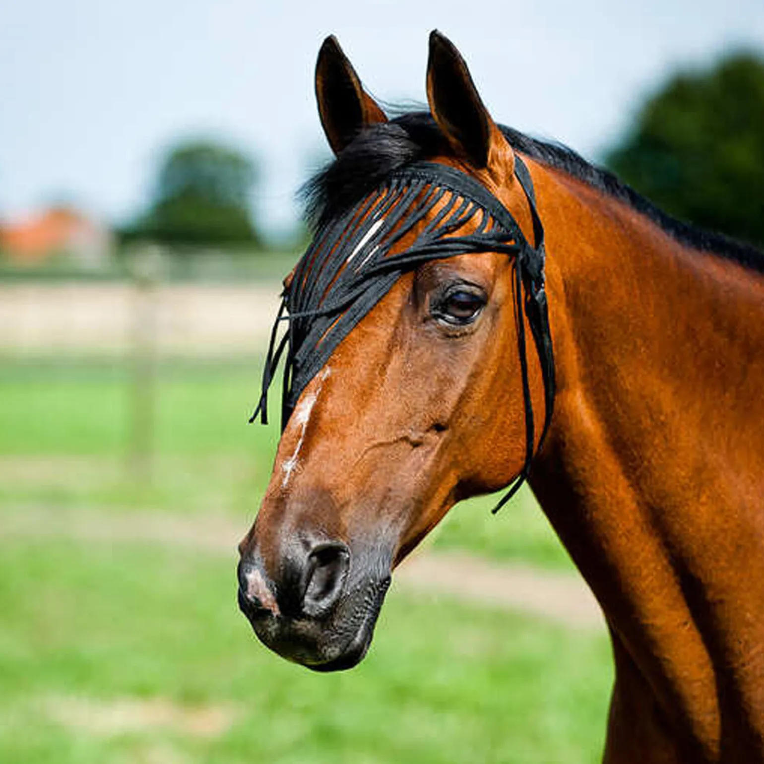 Horze enkel fluemaske