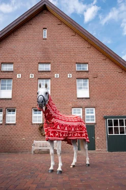 Horze julegenser til hester