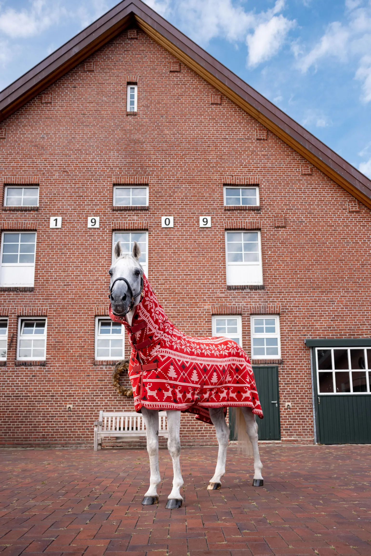 Horze julegenser til hester