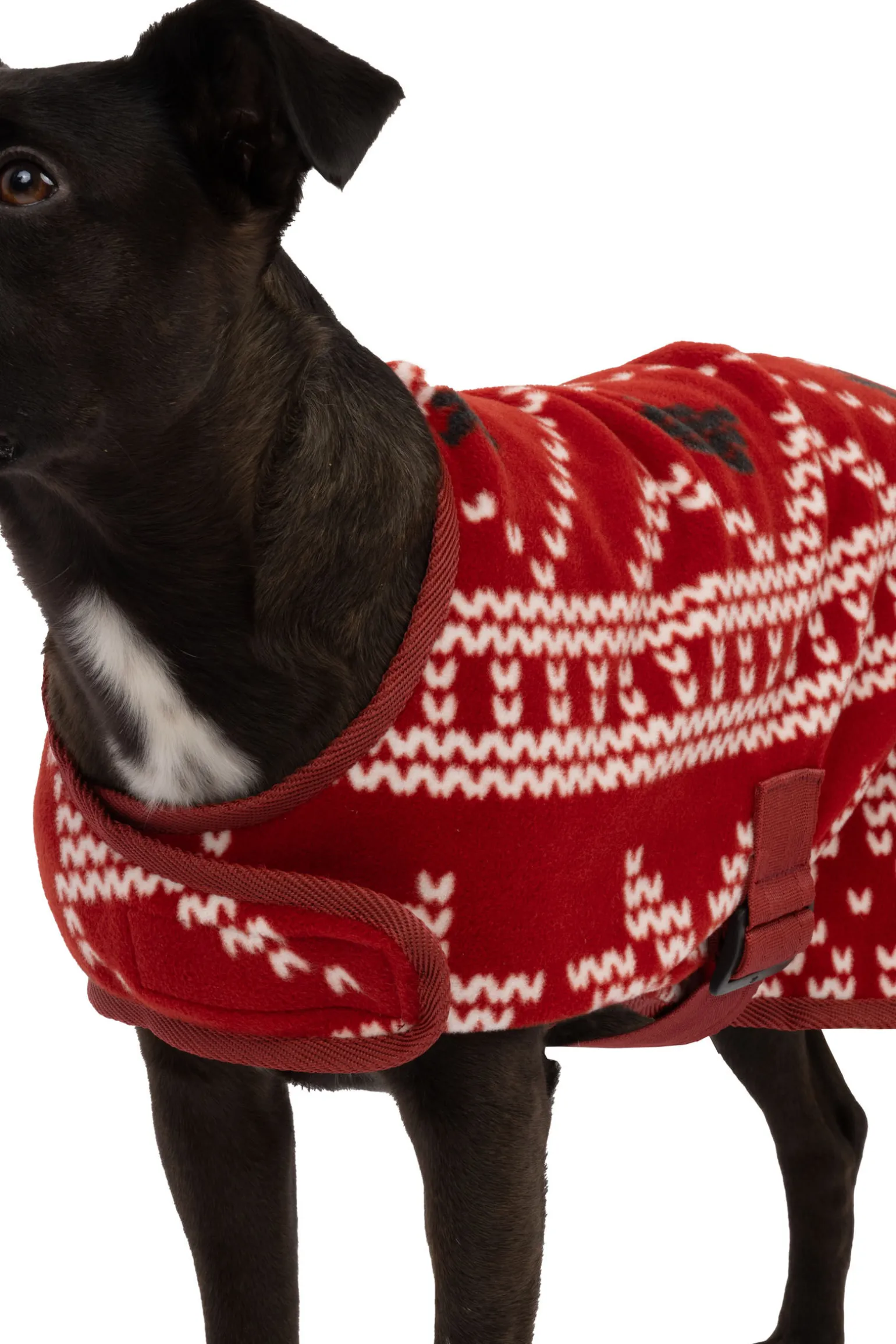 Horze julegenser til hund