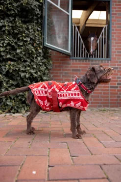 Horze julegenser til hund