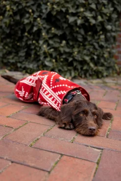 Horze julegenser til hund