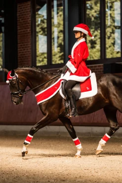 Horze julesele