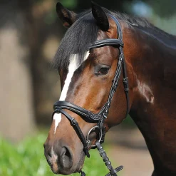 Kavalkade Ivy hodelag med flash nesereim