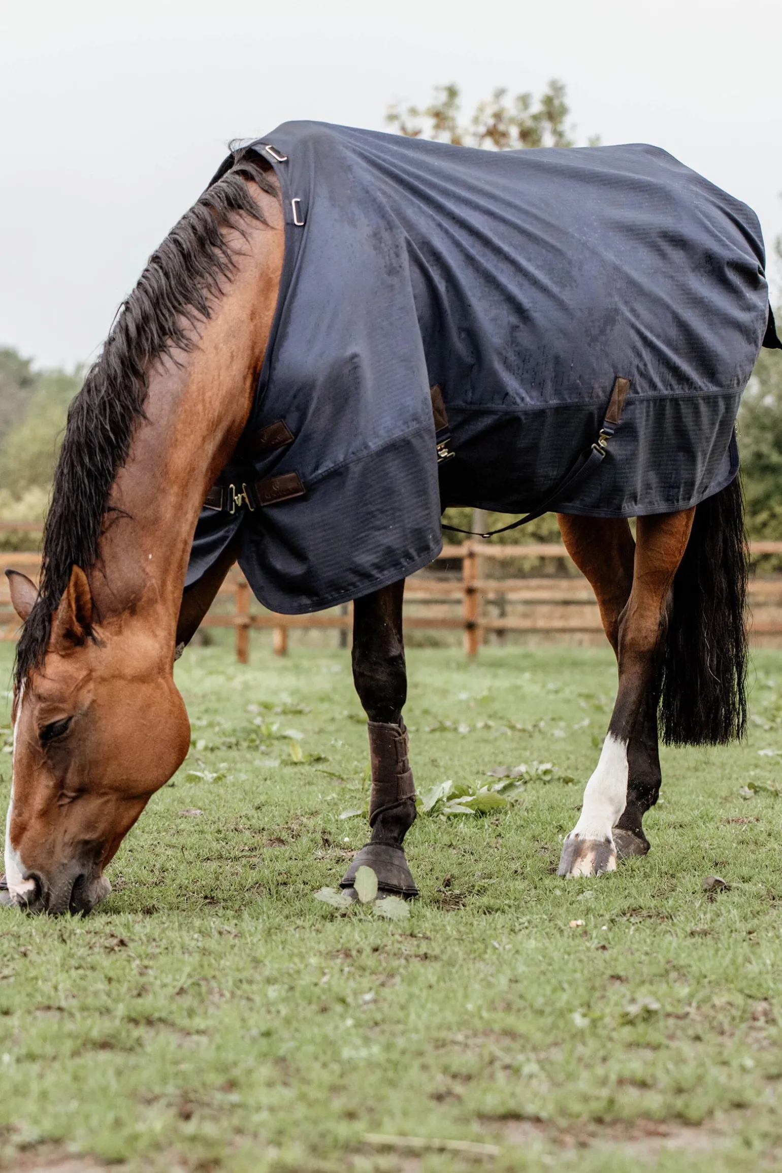 Kentucky Horsewear All Weather utedekken, 300 gram