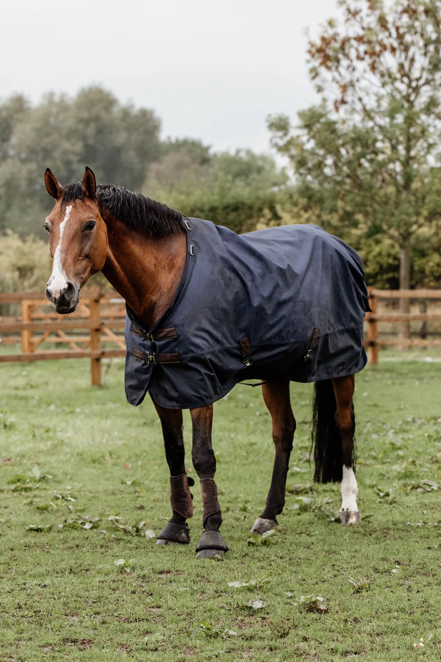 Kentucky Horsewear All Weather utedekken, 300 gram
