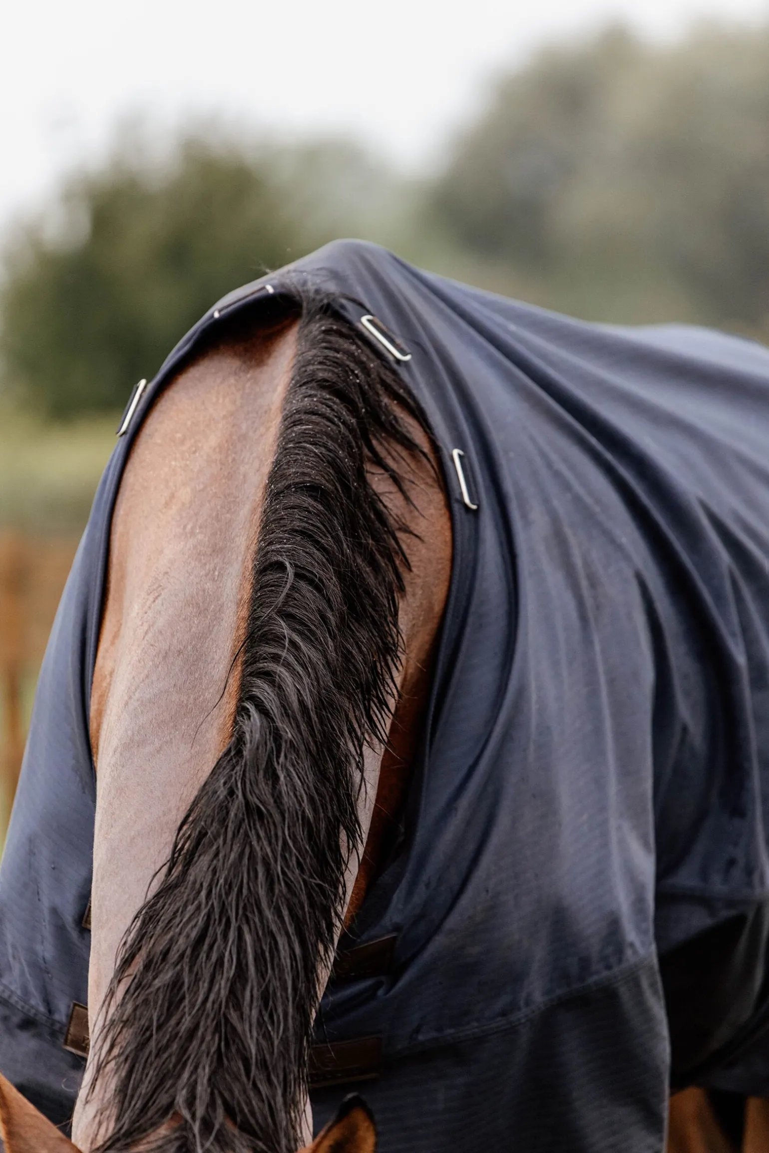 Kentucky Horsewear All Weather utedekken, 300 gram
