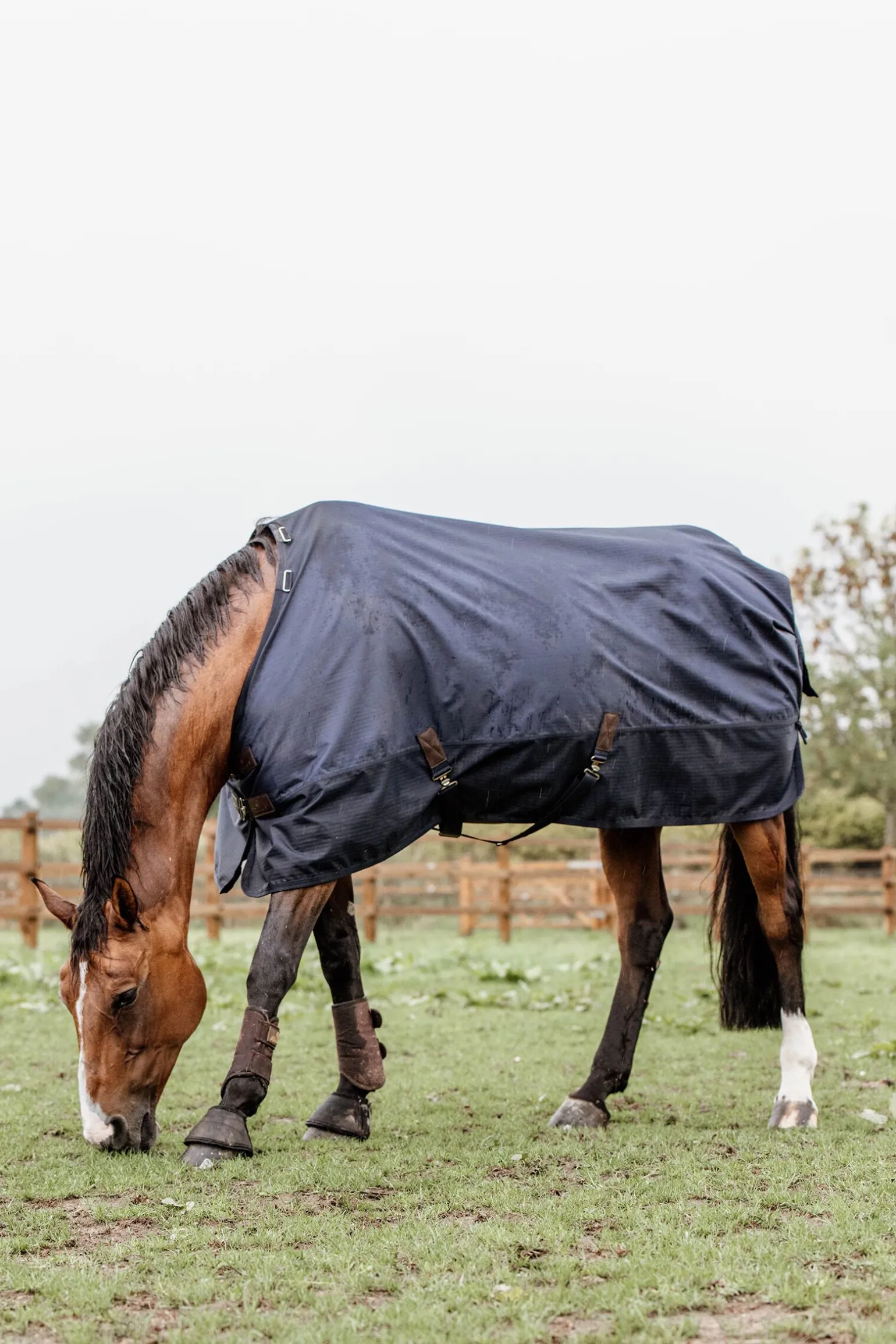Kentucky Horsewear All Weather utedekken, 300 gram