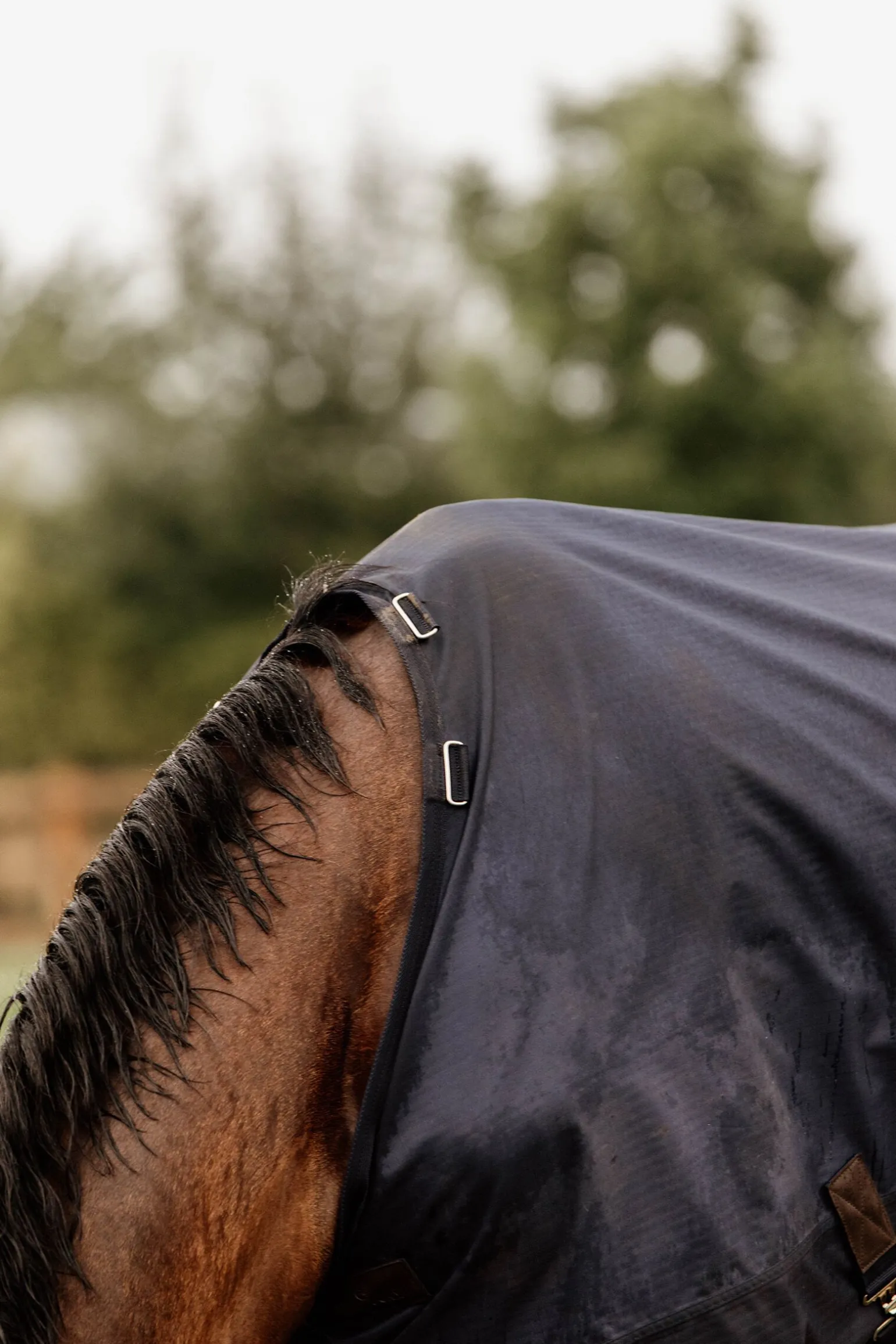 Kentucky Horsewear All Weather utedekken, 300 gram