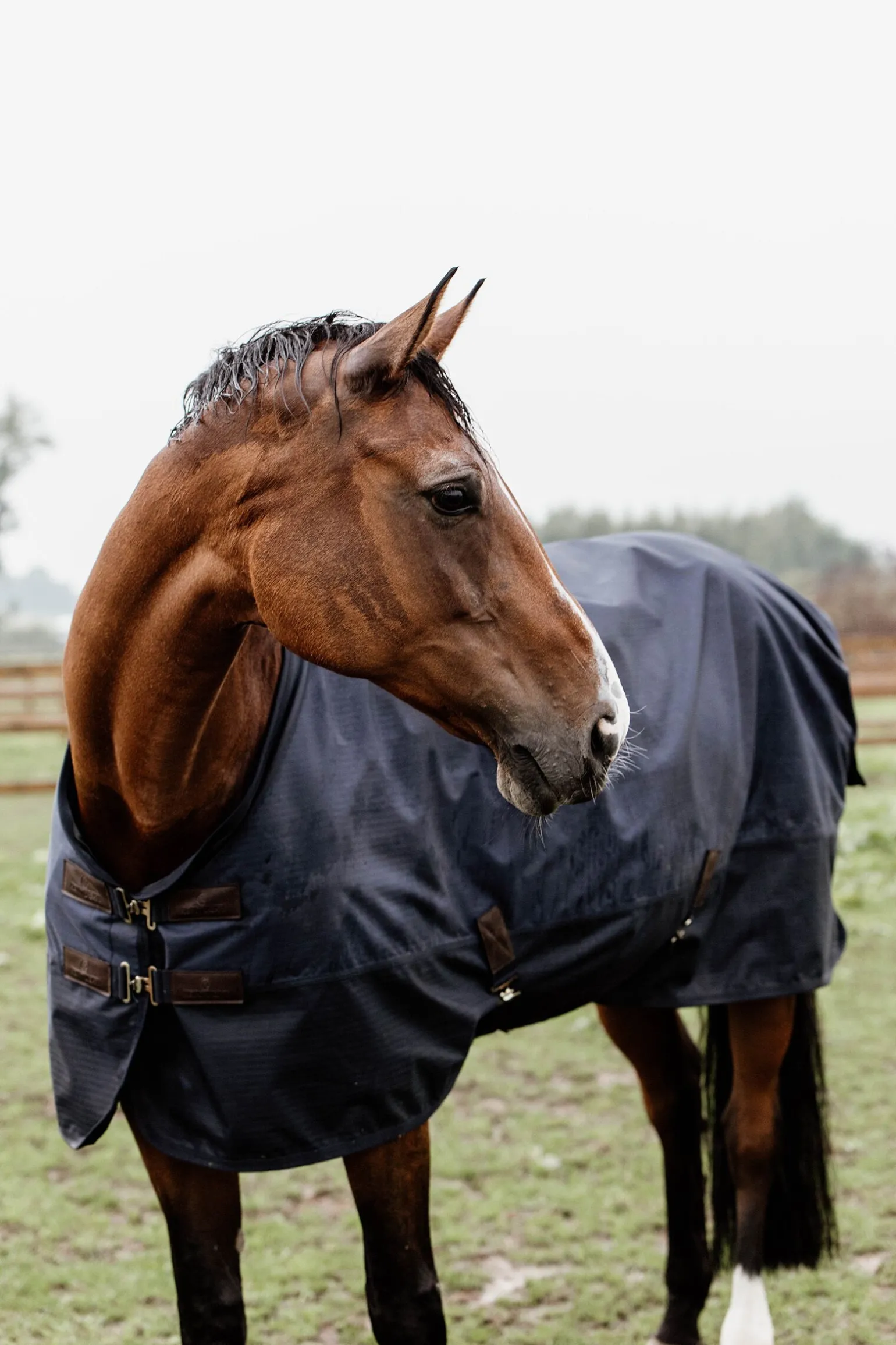 Kentucky Horsewear All Weather utedekken, 300 gram