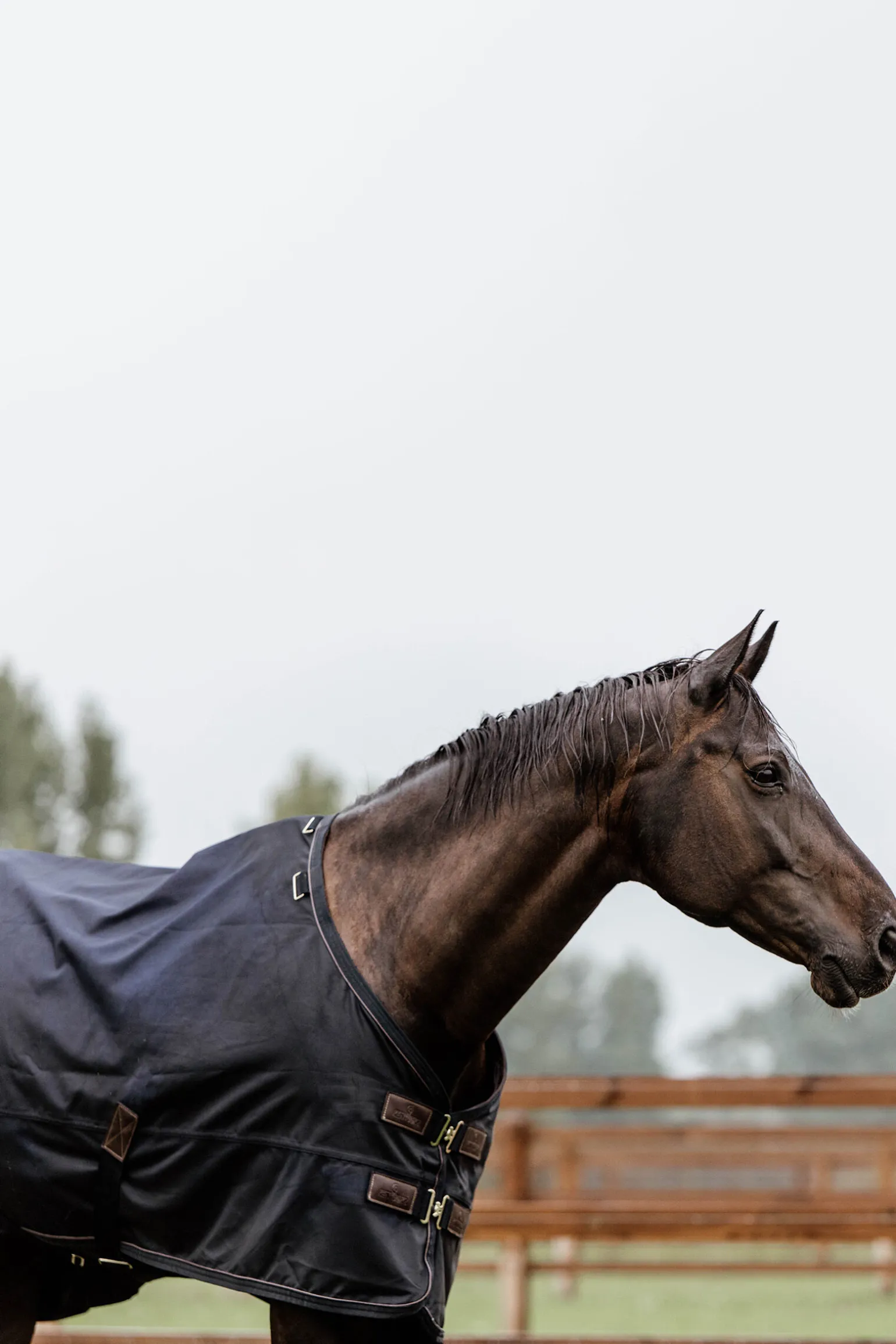 Kentucky Horsewear All Weather utedekken, 300 gram