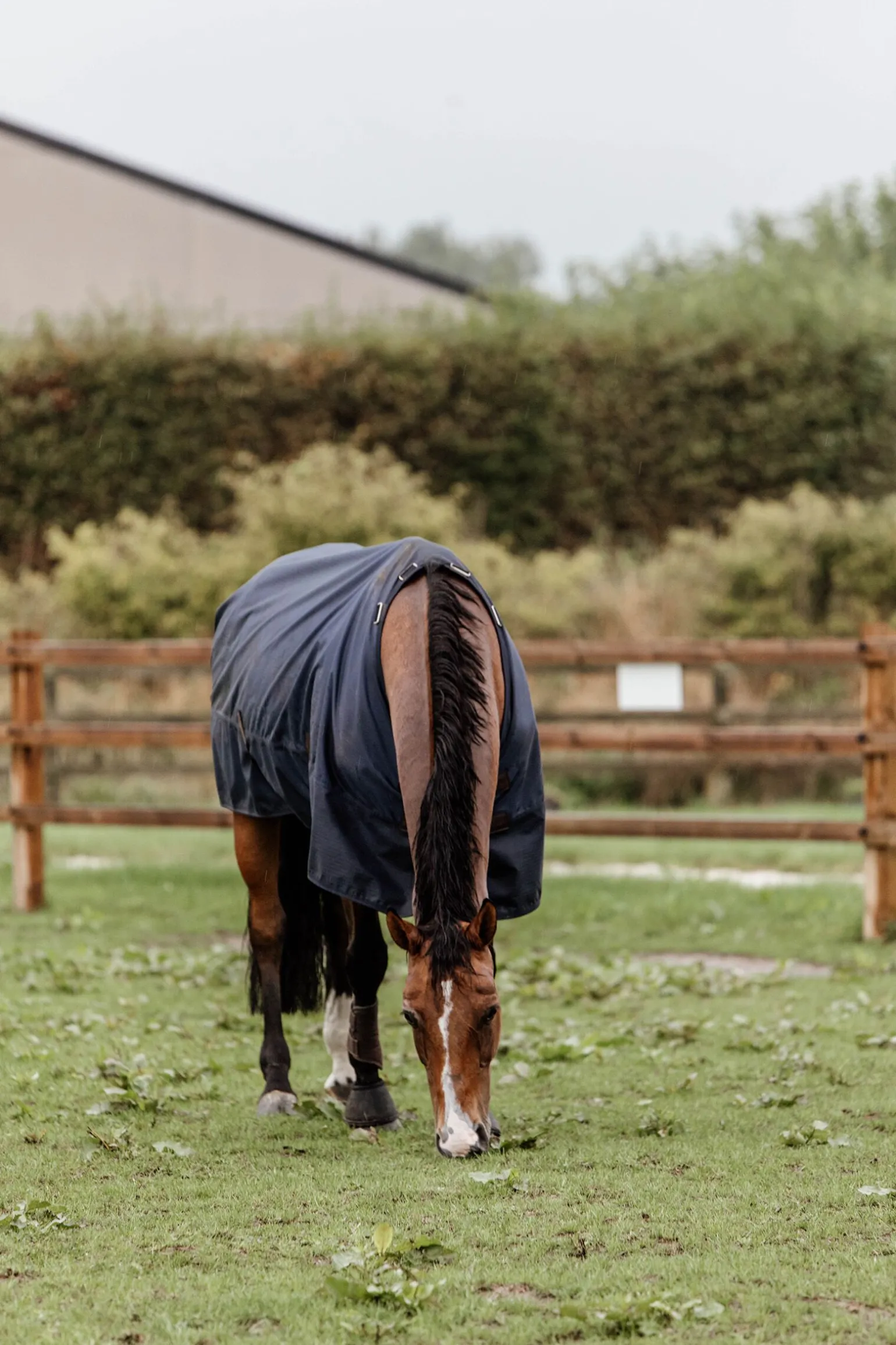 Kentucky Horsewear All Weather utedekken, 300 gram