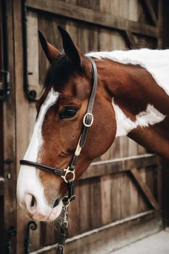 Kentucky Horsewear lærgrime for stell