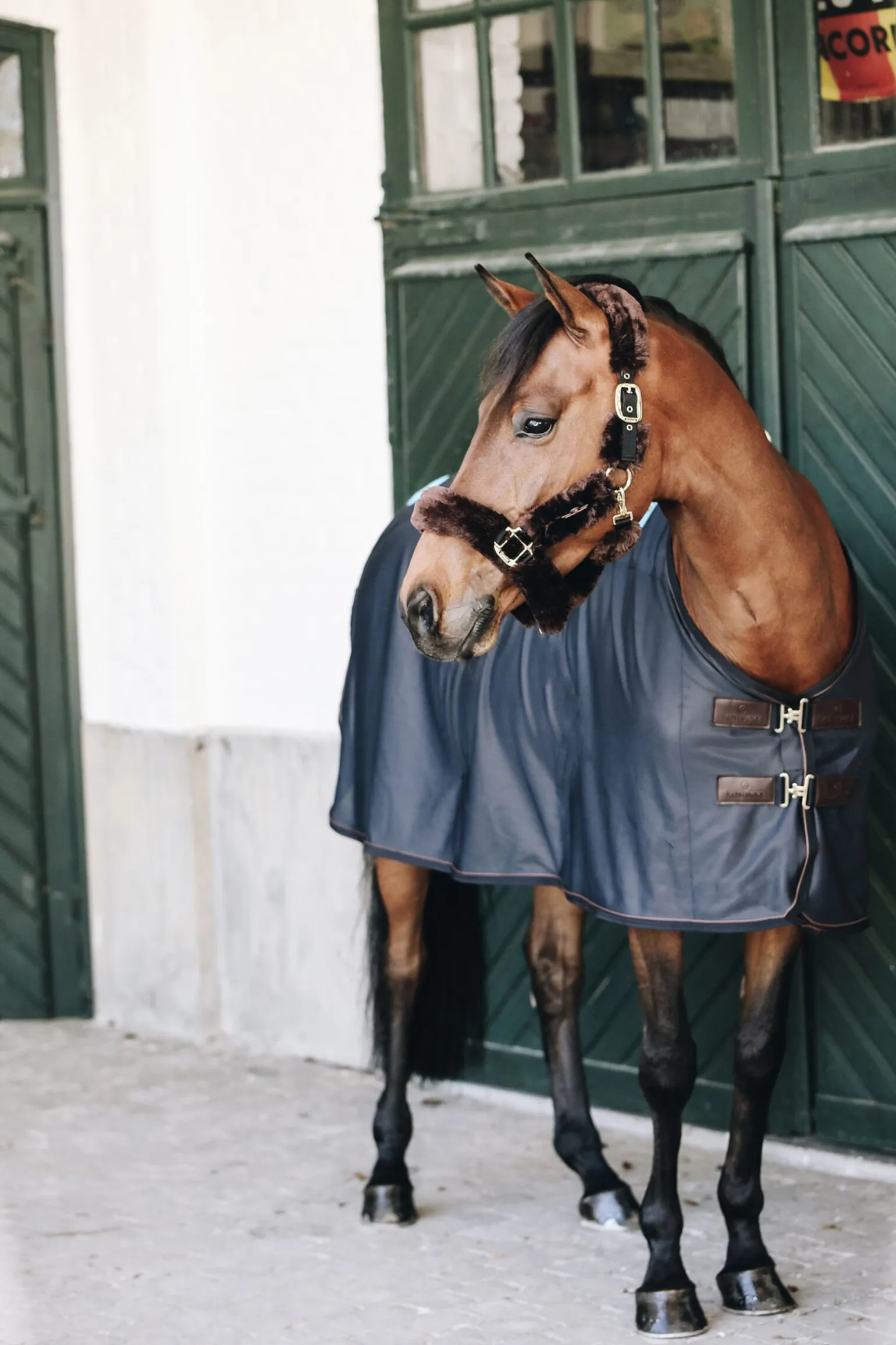 Kentucky Horsewear Recuptex magnetisk dekken