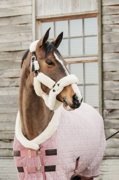 Kentucky Horsewear  Velvet stevnedekken, 160 gram