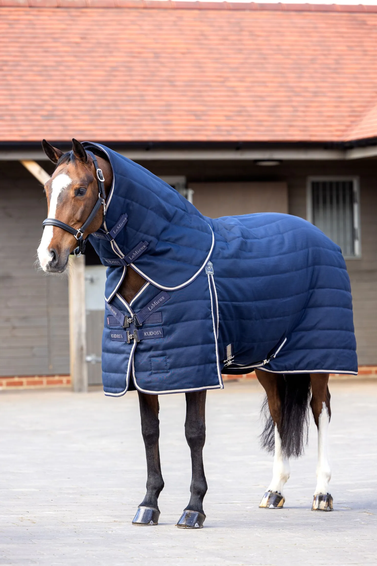 LeMieux Kudos Stable Rug, 100g