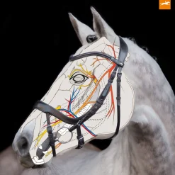 Schockemöhle Sports Equitus Alpha hodelag