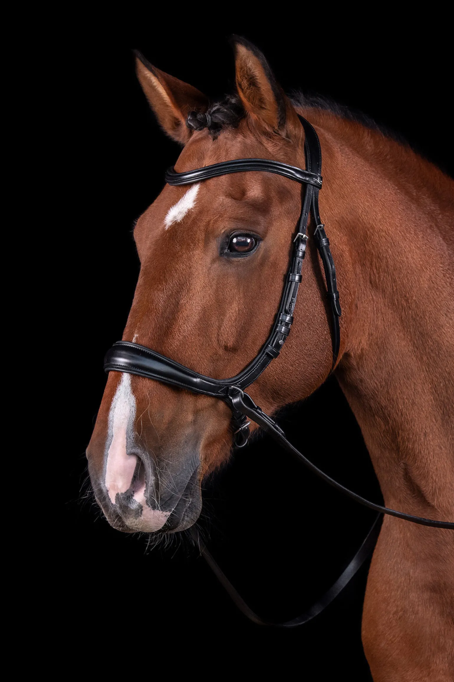 Schockemöhle Sports Equitus Theta 3-i-1 hodelag