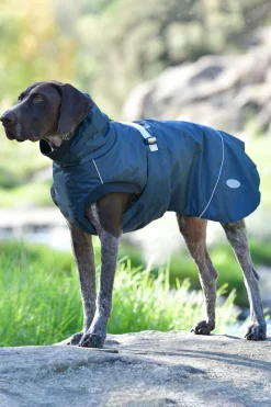 Weatherbeeta Explorer Medium Hundefrakk